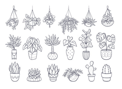 1,100 Delicate Drawings of Root Systems Reveals the Hidden World of Plants  | Open Culture