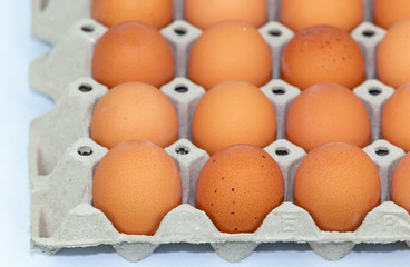 Fresh eggs on the tray isolated on white background