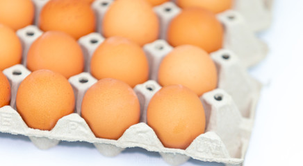 Fresh eggs on the tray isolated on white background