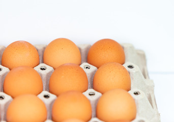 Fresh eggs on the tray isolated on white background