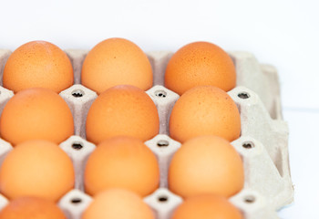 Fresh eggs on the tray isolated on white background