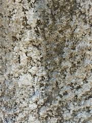 wall  texture  cement  Uneven ground color  gray