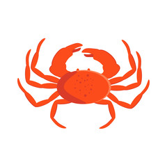 Crab ocean fresh nature seafood vector illustration