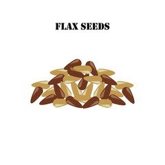 Flax seeds healthy organic nutrition vector illustration