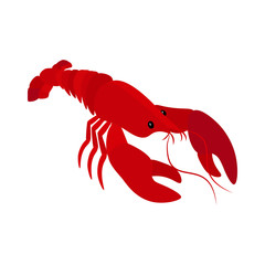 Lobster delicacy seafood organic delicious vector illustration
