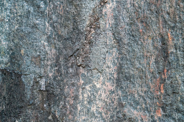 Closeup of rock with pattern and texture. Background and backdrop concept.