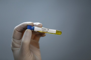Obraz premium Doctor holds COVID 19 Coronavirus vaccine in his hand