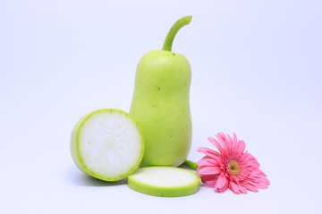 Single gourd on a colored background