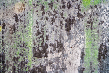 Concrete wall weathered and destroyed with green color details. Copy space for text.
