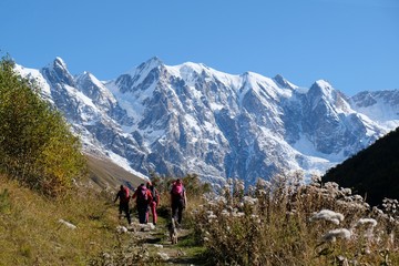 Fototapeta premium Snowy mountains Dzhangi-Tau and Shkhara with Khalde Glacier. Silhouette of tourist on trail. During trekking from village of Khalde to Khalde glacier. Greater Caucasus, Svaneti, Georgia