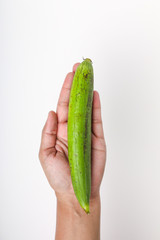 Fresh green sponge gourd or luffa in hand on white background