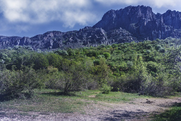 Hiking pathway- journey through roads, mystical nature
