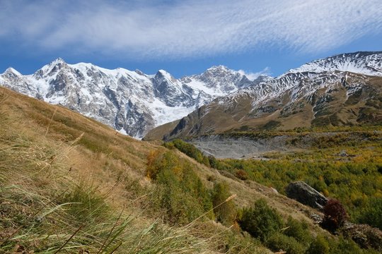 Snowy mountains Dzhangi-Tau and Shkhara with Khalde Glacier, autumn colours of mountainsides in foreground. During trekking from village of Khalde to Khalde glacier. Greater Caucasus, Svaneti, Georgia