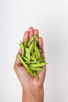 Organic Cluster beans or guar (Indian vegetable) and source of guar gum.