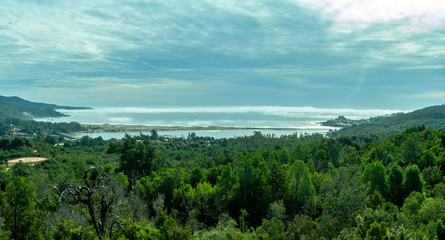 Fototapeta na wymiar parque nacional Alerce costero, ubicado en Chaiguin, región de los lagos, Chile.