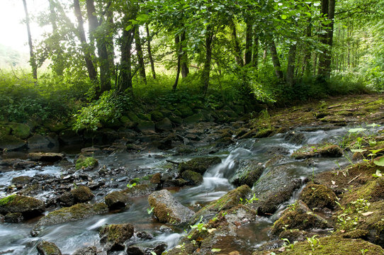Die Urft in der Eifel in Deutschland