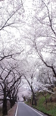 snow covered road