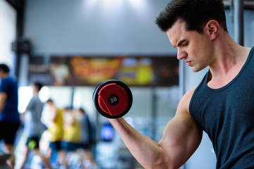 Fototapeta na wymiar Profile view of young handsome man exercising with dumbbells at the gym