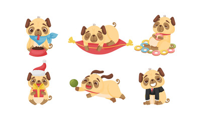 Fototapeta premium Cute Pug-dog Puppy Eating Doughnuts and Playing with Ball Vector Set