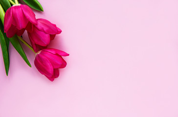 Fototapeta premium Beautiful tulips bouquet