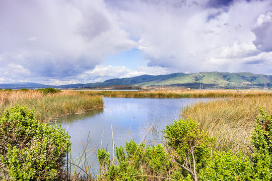 Wetlands in the South San Francisco Bay Area on a stormy spring day; Diablo Range mountains visible in the background; San Jose, California