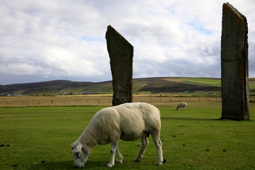 Stennessl - Orkney (Scotland), UK - August 06, 2018: Standing Stones of Stenness, Neolithic...