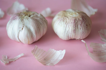 Two garlic bulbs and skin on pink background. Close up of seasonal vegetable. Fresh organic healthy food. Spicy culinary ingredient. Harvesting background