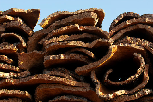 Planchas de corcho apiladas para su transformaci&oacute;n en una f&aacute;brica corchera de Extremadura.