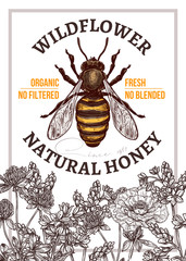 Vector sketch honey poster or card. Template and design for beekiping business with hand drawn illustrations of wildflowers poppy, clover, buckwheat with emblem or label with bee