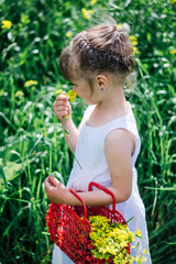 Little girl in the field collects flowers in the basket.Portrait cute girl with flowers on the meadow