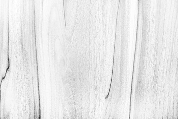 Plywood birch grey texture abstract for background