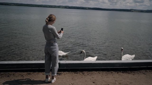 young woman takes phone swans on the lake in summer