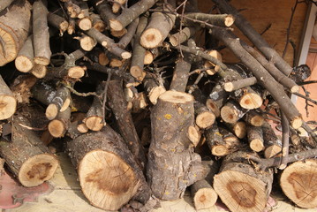 The sawn branches of an old tree are piled up