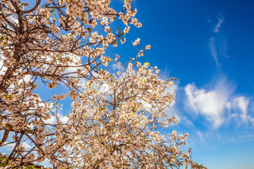 Gorgeous sunny and windy day