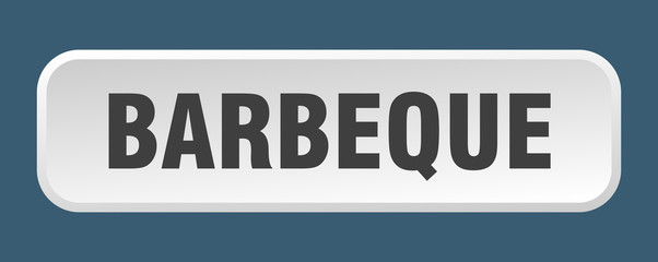 barbeque button. barbeque square 3d push button