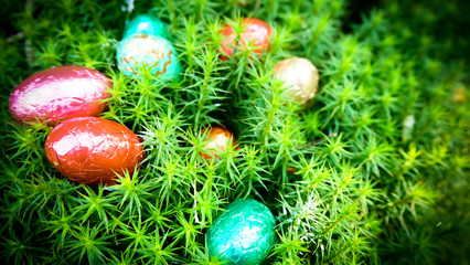easter eggs background texture  , colorful of chocolate