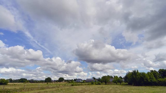Passage de nuage d'été altocumulus sur un champ avec vache time-laps