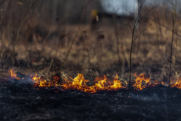 Field with burning dry grass