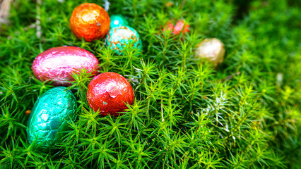 easter eggs background texture  , colorful of chocolate