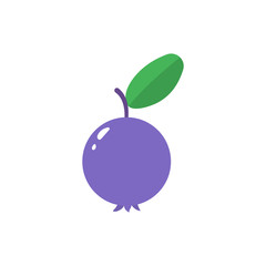 Blueberry isolated icon on a white background.
