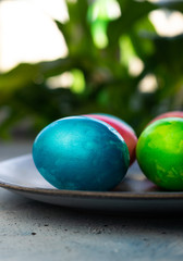 selective focus, colored chicken eggs with food dye
