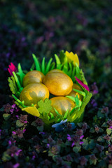 colored eggs in yellow for easter in a green themed basket on grass