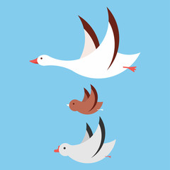 Flying birds vector cartoon set isolated on background.