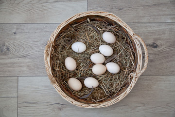 Spring - Fresh Eggs in Nest