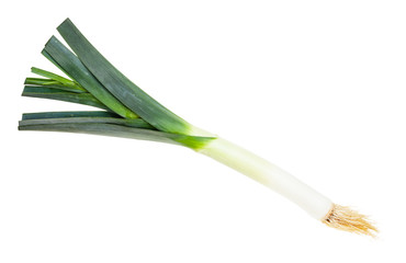 fresh leek with roots isolated on white