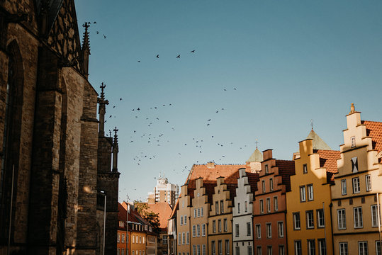 fliegende v&ouml;gel vor blauen Himmel in der Stadt Osnabr&uuml;ck