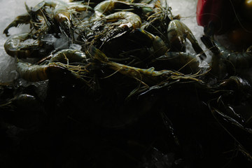  recent Sri Lankan seafood fish and shrimp on a display case in ice