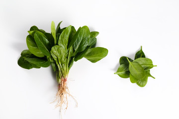 Clean eating concept. Bunch of ripe juicy freshly picked organic baby spinach greens isolated on...