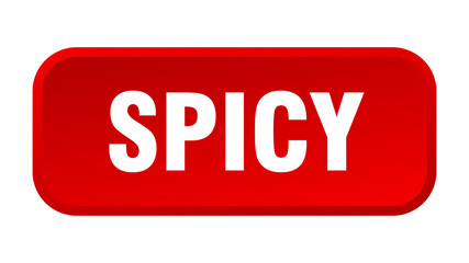 spicy button. spicy square 3d push button