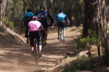 Group of athletes mountain biking on forest trail, mountain bike race